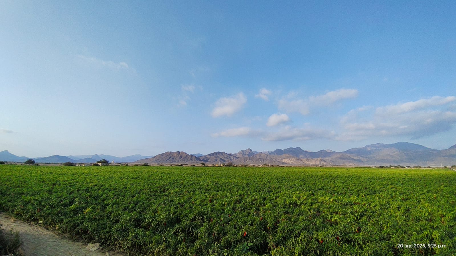 WhatsApp Image 2026-01-01 at 10.25.26 PM