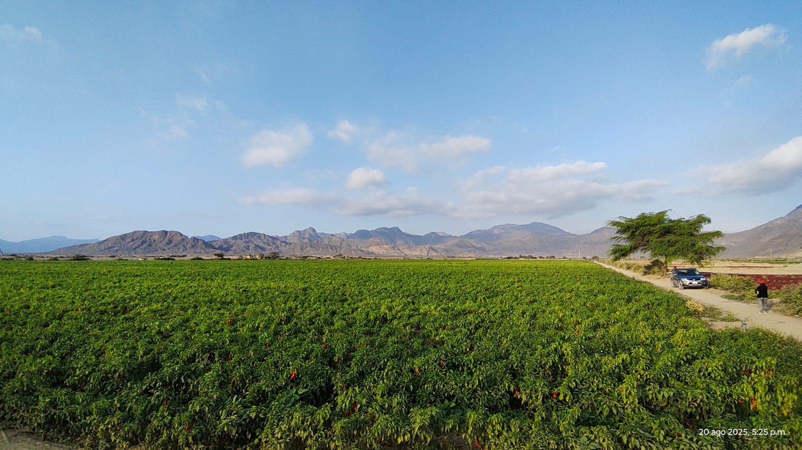 WhatsApp Image 2026-01-01 at 10.25.26 PM1